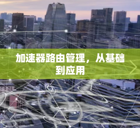 加速器路由管理,从基础到应用
