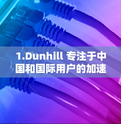 1.Dunhill 专注于中国和国际用户的加速服务，提供海外加速选项