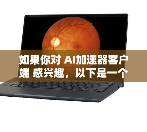 如果你对 AI加速器客户端 感兴趣,以下是一个逐步指南,帮助你找到适合自己的工具,并开始使用