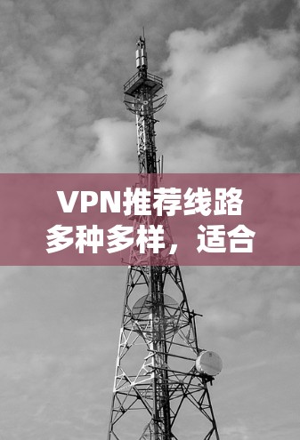 VPN推荐线路多种多样，适合不同需求的用户。以下是一些常见的VPN推荐线路，供您参考