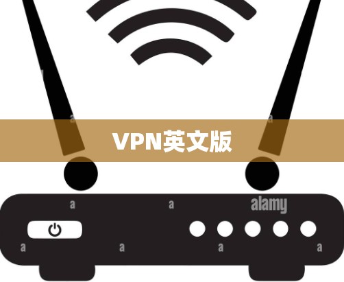 VPN英文版