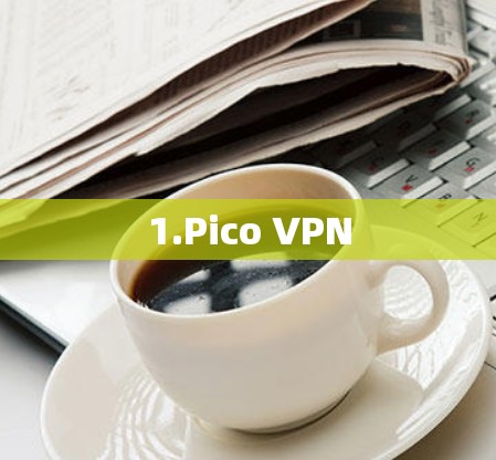 1.Pico VPN