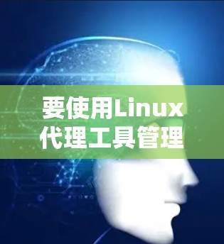 要使用Linux代理工具管理您的服务器，可以按照以下步骤进行