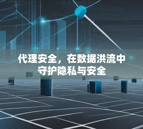 代理安全，在数据洪流中守护隐私与安全