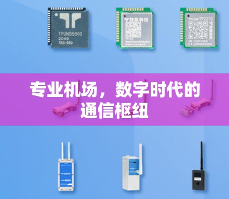 专业机场,数字时代的通信枢纽