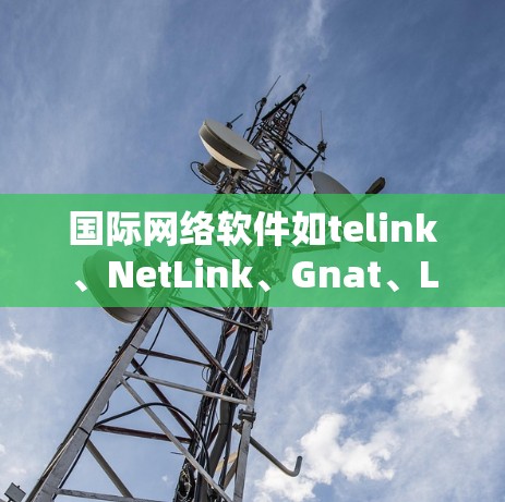 国际网络软件如telink、NetLink、Gnat、LX Switcher等,各有其特定的应用场景和功能。以下是对这些软件的详细分析