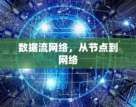 数据流网络，从节点到网络