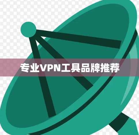 专业VPN工具品牌推荐