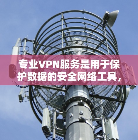 专业VPN服务是用于保护数据的安全网络工具，旨在为用户提供更 secure 的网络连接。以下是详细的步骤和建议