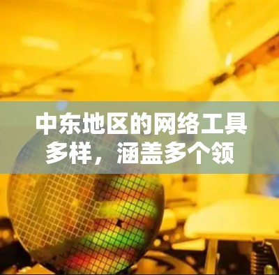 中东地区的网络工具多样,涵盖多个领域,这些工具对当地经济发展和社会稳定具有显著影响。以下是对中东网络工具的详细分析