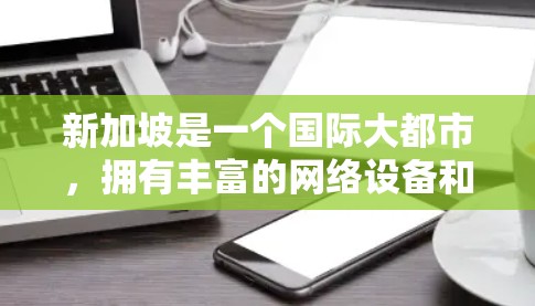 新加坡是一个国际大都市,拥有丰富的网络设备和云服务。以下是新加坡最知名和可靠的VPN服务提供商