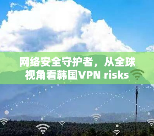 网络安全守护者,从全球视角看韩国VPN risks