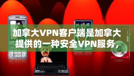 加拿大VPN客户端是加拿大提供的一种安全VPN服务,帮助用户在线访问安全的网站和平台,避免被检测到。以下是关于加拿大VPN客户端的详细信息