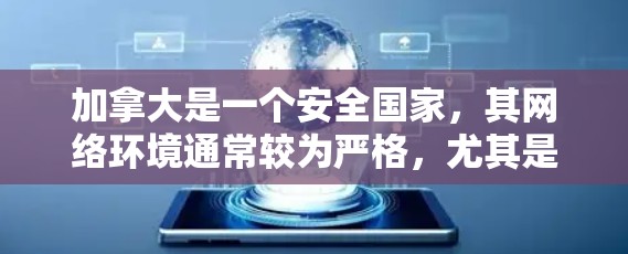 加拿大是一个安全国家,其网络环境通常较为严格,尤其是对于VPN服务的使用。以下是关于加拿大VPN线路的一些信息