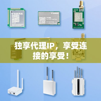 独享代理IP,享受连接的享受! 独享代理IP,享受连接的享受!