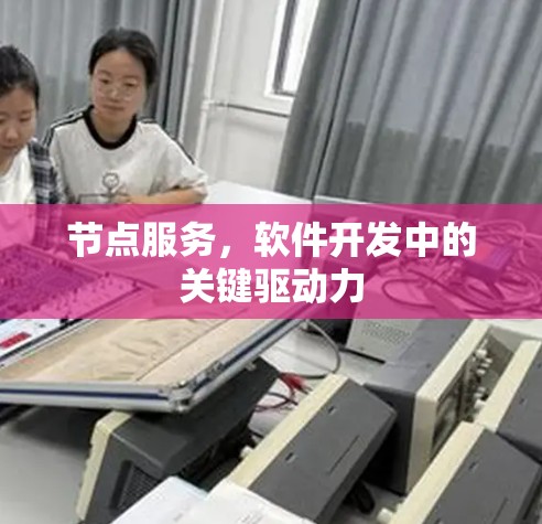 节点服务,软件开发中的关键驱动力