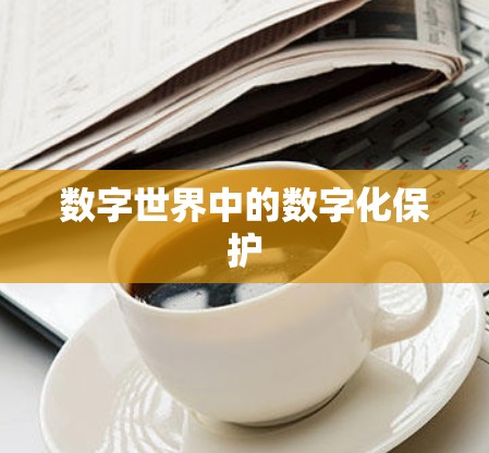 数字世界中的数字化保护