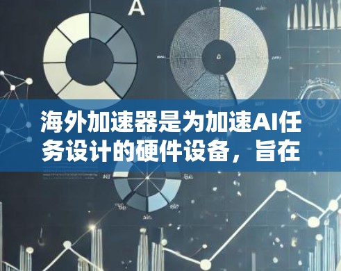 海外加速器是为加速AI任务设计的硬件设备，旨在提升AI模型的运行效率和性能。以下是对海外加速器的详细分析