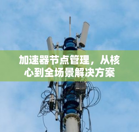 加速器节点管理,从核心到全场景解决方案