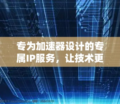 专为加速器设计的专属IP服务，让技术更上一层楼