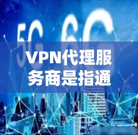 VPN代理服务商是指通过特定方式代理用户连接到远程服务器的公司。以下是关于VPN代理服务商的详细分析