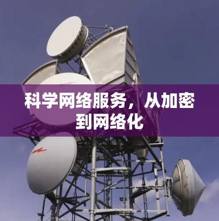 科学网络服务,从加密到网络化