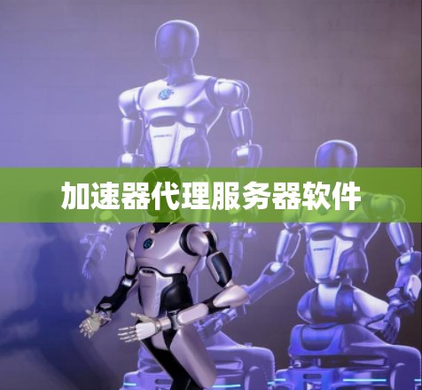 加速器代理服务器软件