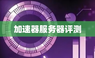 加速器服务器评测