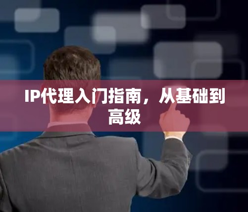 IP代理入门指南，从基础到高级
