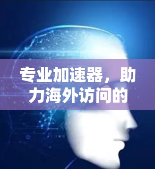 专业加速器,助力海外访问的高效选择