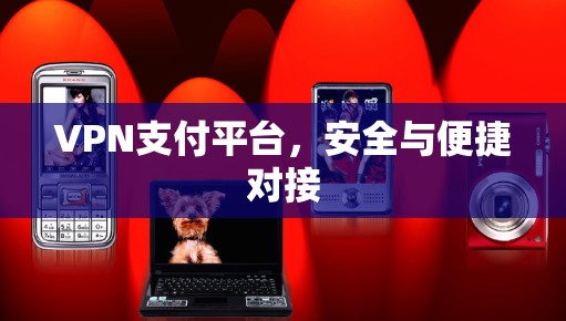 VPN支付平台，安全与便捷对接