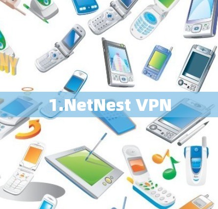 1.NetNest VPN