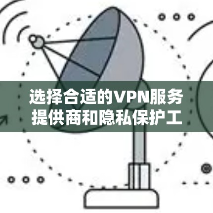 选择合适的VPN服务提供商和隐私保护工具是一个综合性的过程，需要综合考虑多个因素。以下是对VPN类型、选择建议以及其他隐私保护工具的总结