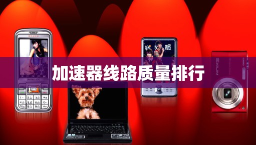 加速器线路质量排行
