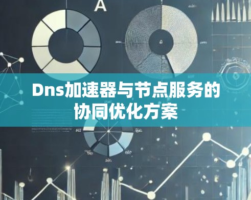 Dns加速器与节点服务的协同优化方案