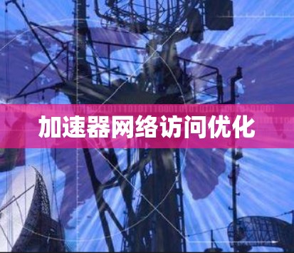 加速器网络访问优化