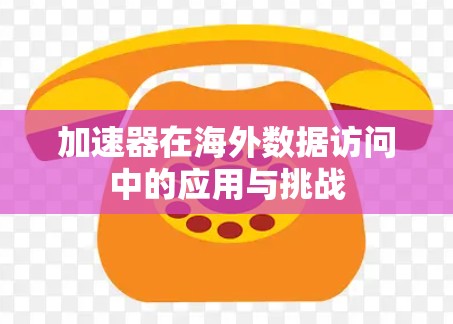 加速器在海外数据访问中的应用与挑战