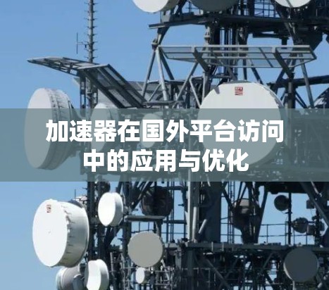 加速器在国外平台访问中的应用与优化 加速器在国外平台访问中的应用与优化