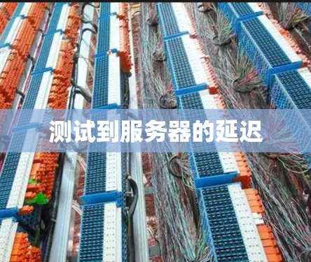 测试到服务器的延迟