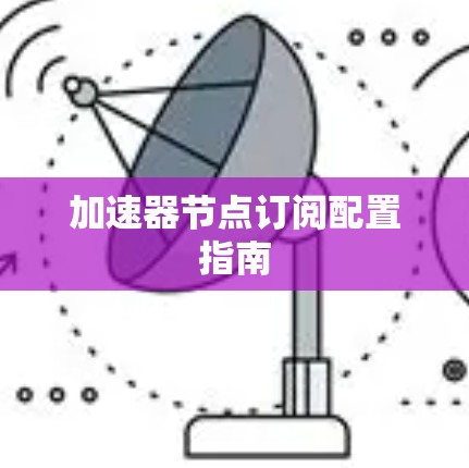 加速器节点订阅配置指南