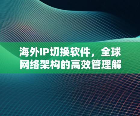 海外IP切换软件,全球网络架构的高效管理解决方案 海外IP切换软件,全球网络架构的高效管理解决方案