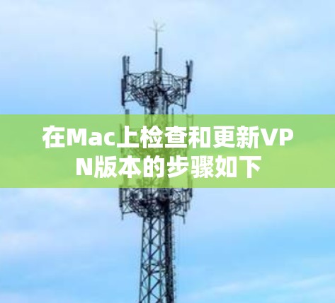 在Mac上检查和更新VPN版本的步骤如下