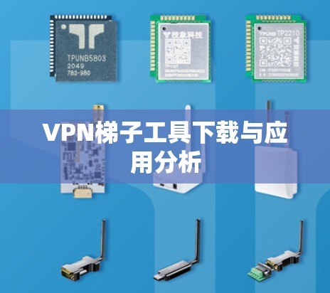 VPN梯子工具下载与应用分析