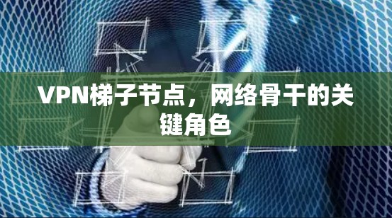 VPN梯子节点,网络骨干的关键角色