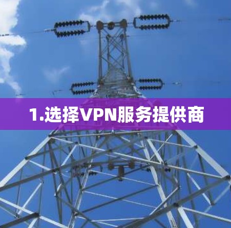 1.选择VPN服务提供商