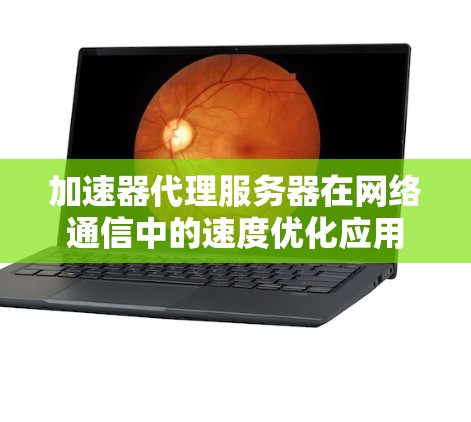 加速器代理服务器在网络通信中的速度优化应用