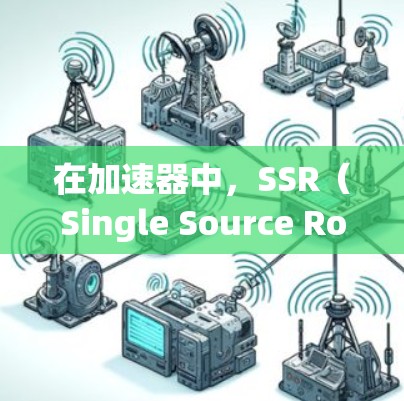 在加速器中,SSR(Single Source Routing)节点是实现网络加速的核心组件之一。以下是对SSR节点的详细解析