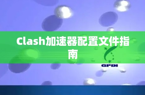 Clash加速器配置文件指南