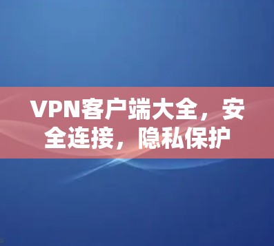 VPN客户端大全，安全连接，隐私保护，远程访问全解析