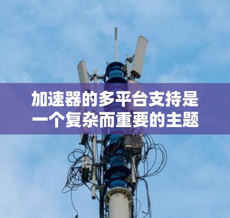 加速器的多平台支持是一个复杂而重要的主题，涉及硬件、软件、性能和用户体验等多个方面。以下是对这一主题的详细分析和总结